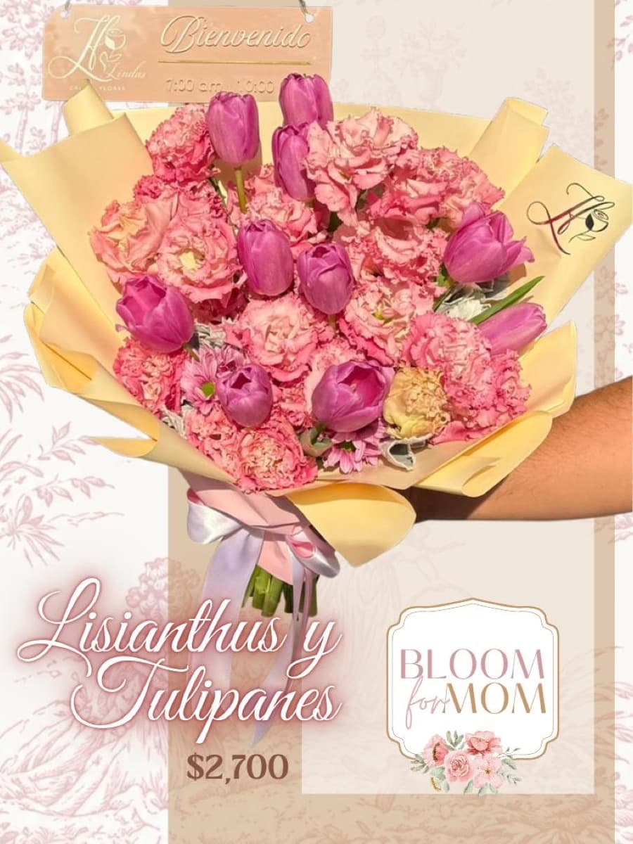Catálogo Bloom, página 11