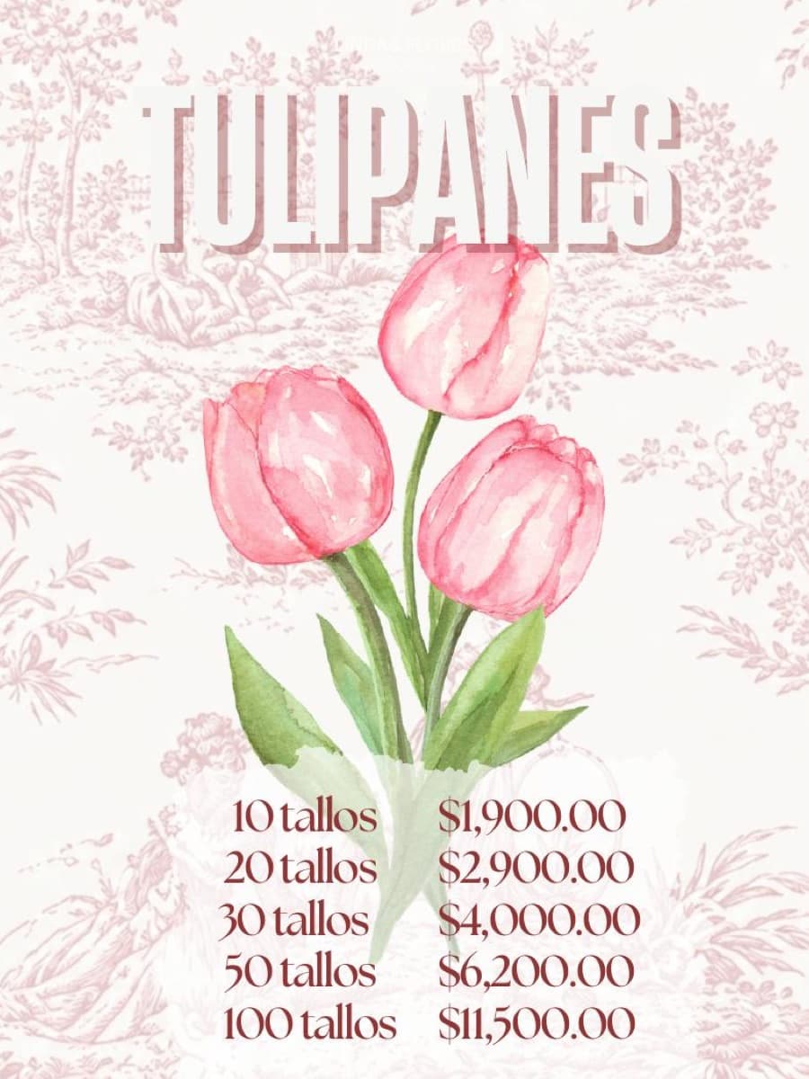 Catálogo Bloom, página 17