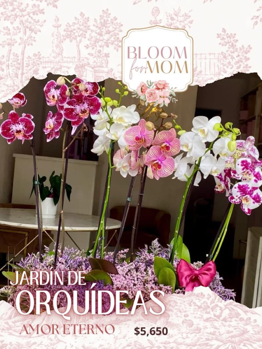 Catálogo Bloom, página 26