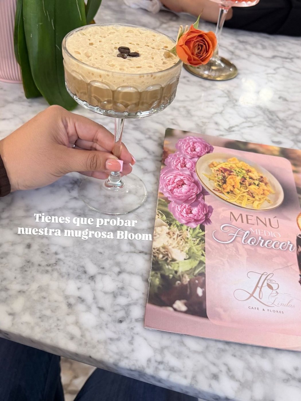 De la semilla a tu taza