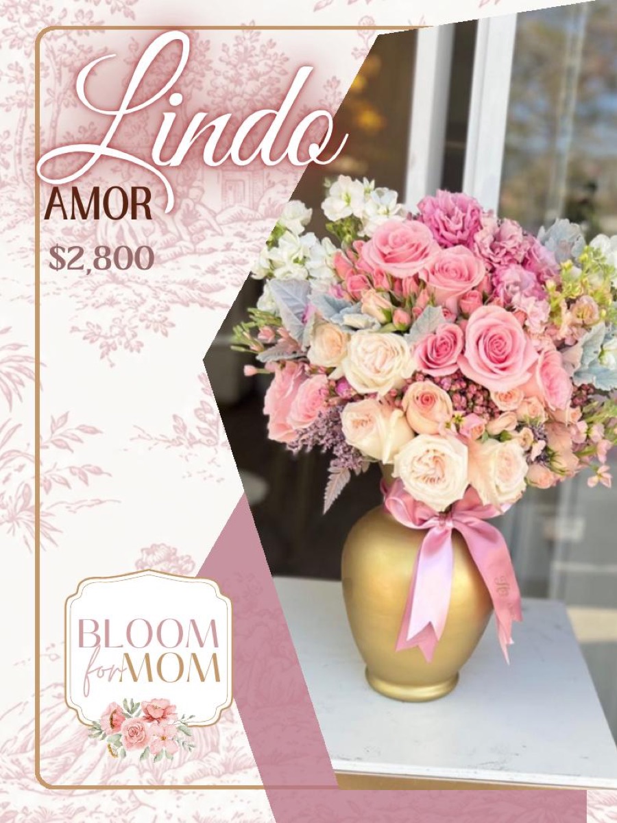 Lindo Amor
