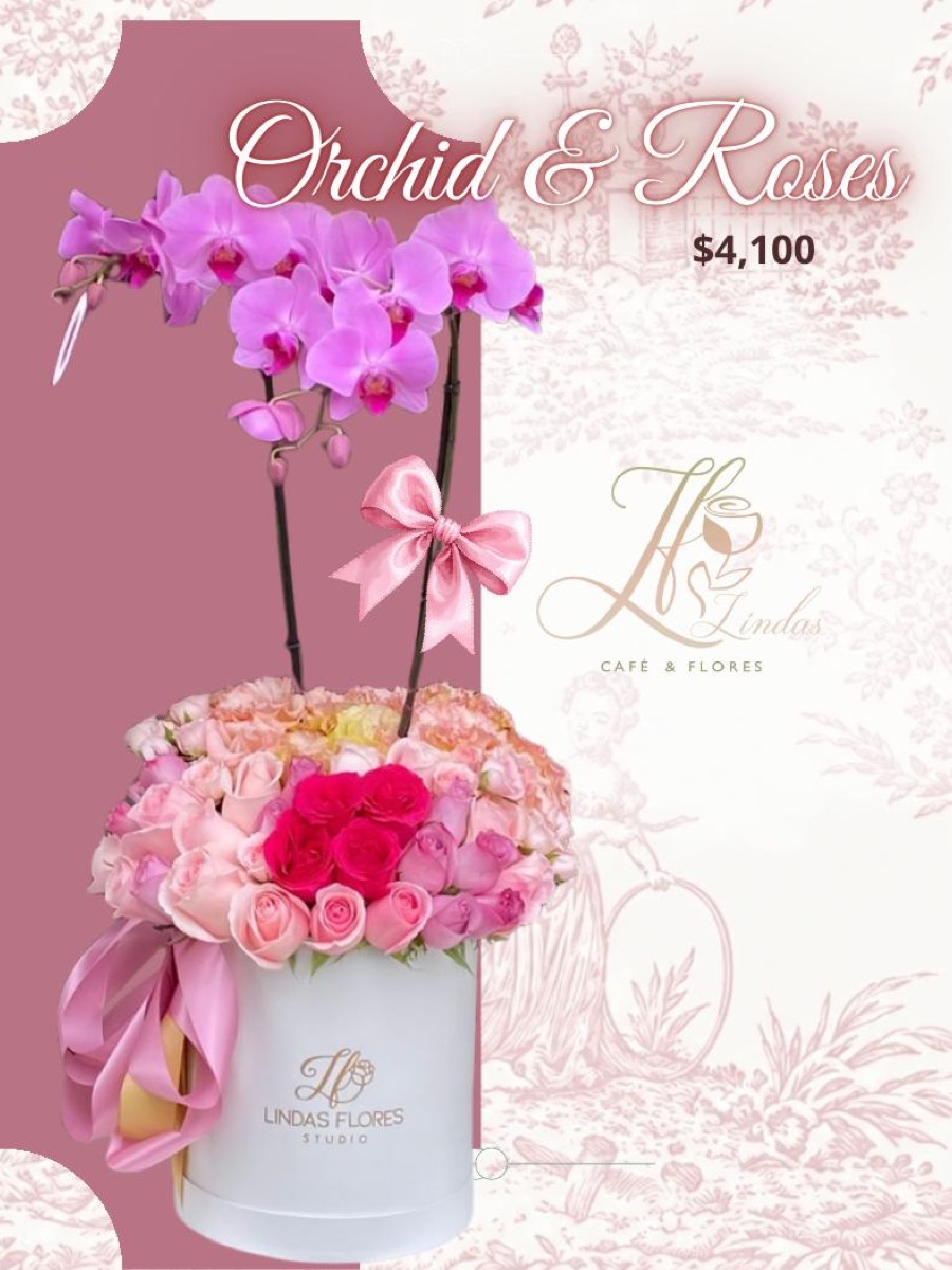 Orchid & Roses